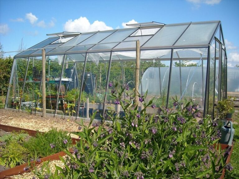 ACD tuinkas Prestige S206H, afmeting: 380 x 445 cm